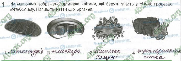 ГДЗ Біологія 10 клас сторінка Стр.24 (1)